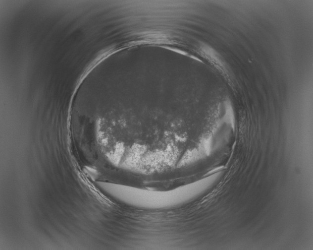 X0000082971378200702222355