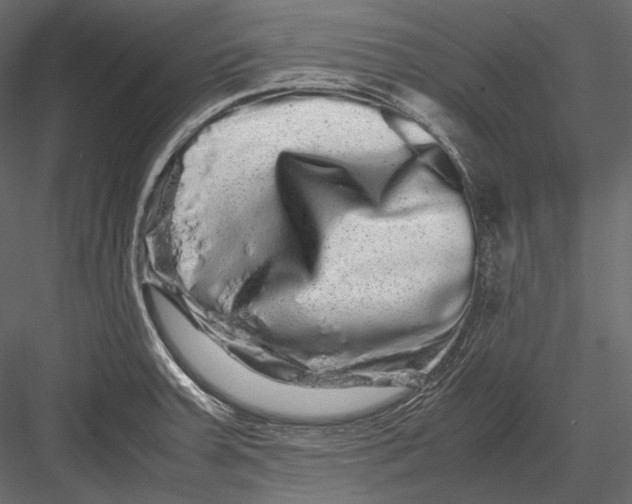 X0000082971379200702222355