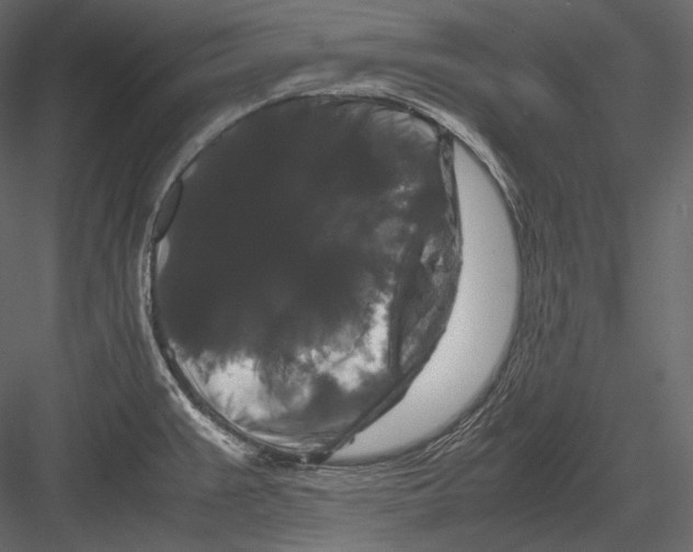 X0000082971383200702222355