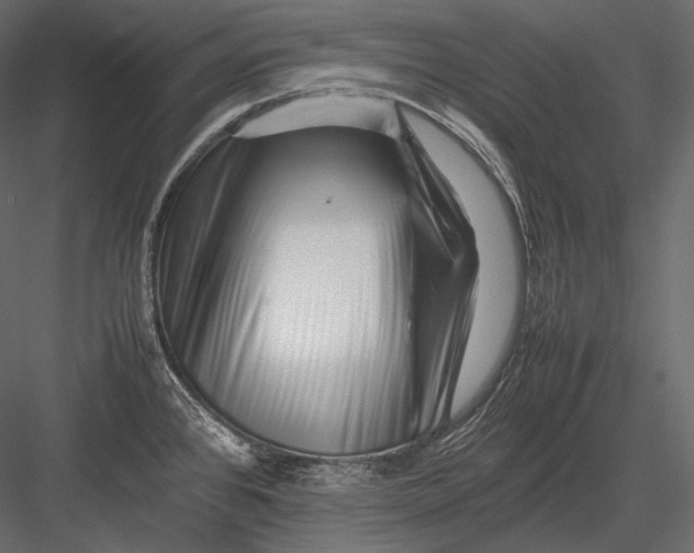 X0000082971384200702222355