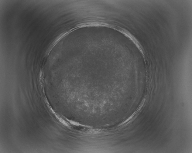 X0000082971385200702222355