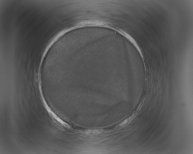 X0000082971389200702222355