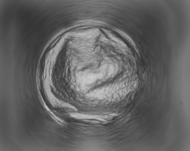 X0000082971391200702222355