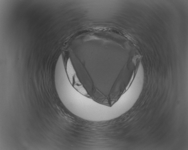 X0000082971394200702222354