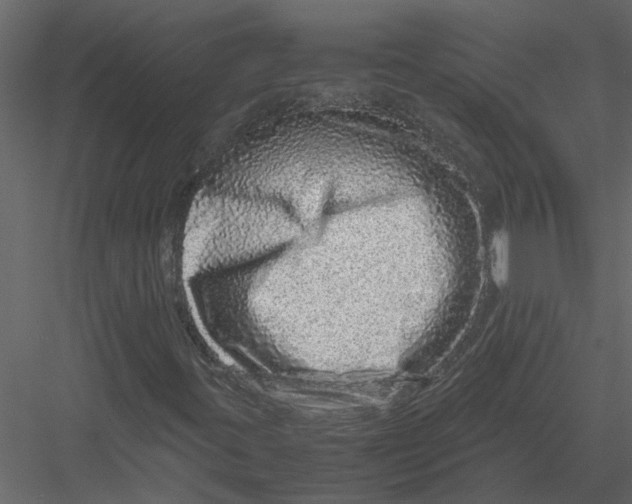 X0000082971395200702222354