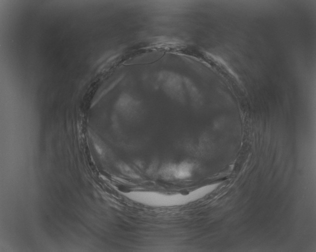 X0000082971399200702222354