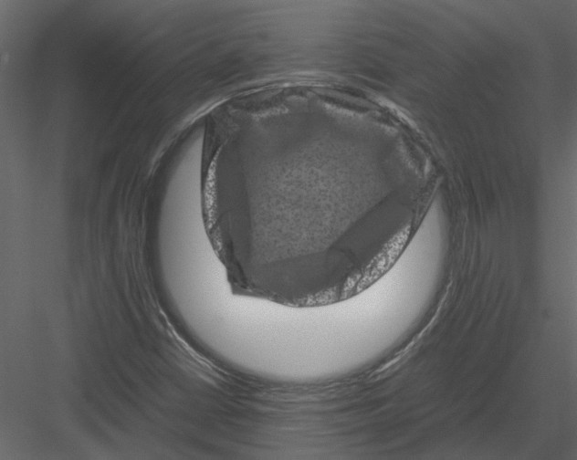 X0000082971402200702222354