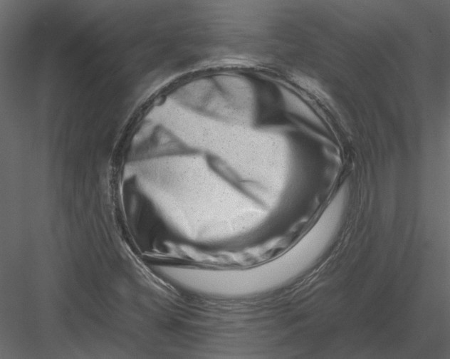 X0000082971404200702222354