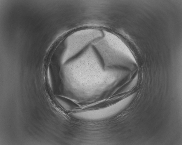 X0000082971408200702222354