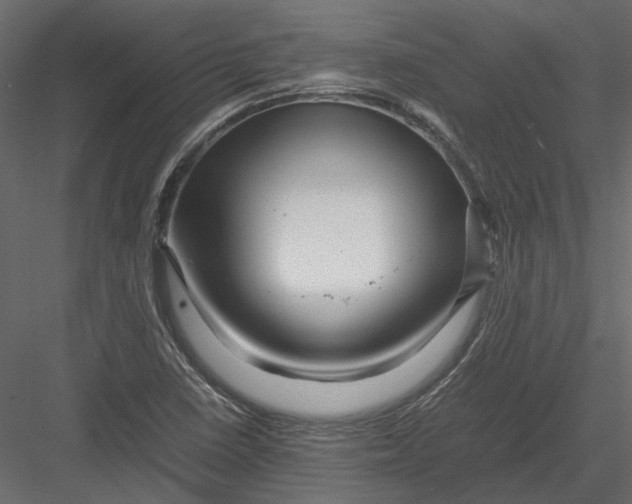 X0000082971410200702222354