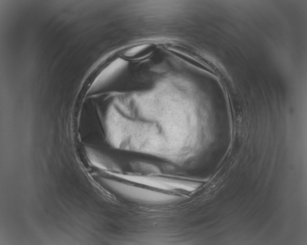 X0000082971412200702222354
