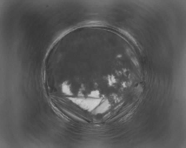 X0000082971413200702222354