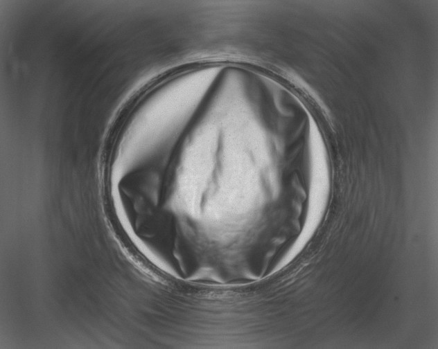 X0000082971416200702222354