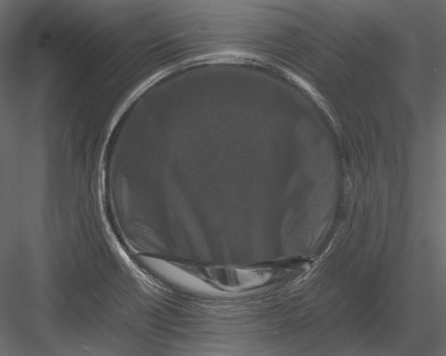 X0000082971418200702222354