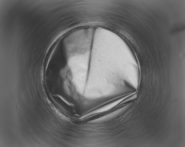 X0000082971420200702222354