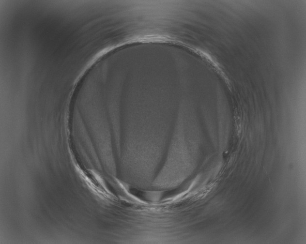 X0000082971422200702222354