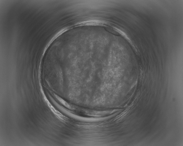 X0000082971426200702222354