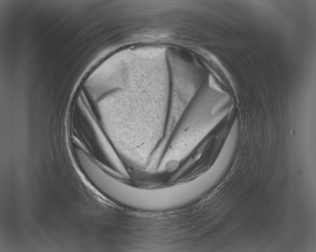 X0000082971432200702222354