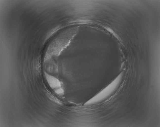 X0000082971450200702222354