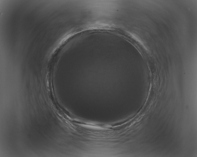 X0000082971455200702222354