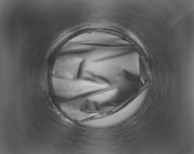 X0000082971456200702222354