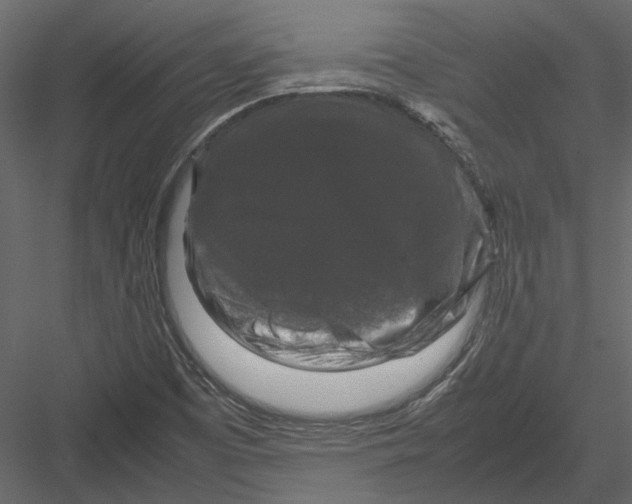 X0000082971457200702222354