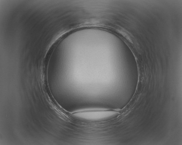 X0000082971458200702222353