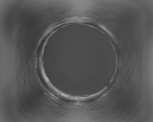 X0000082971459200702222353