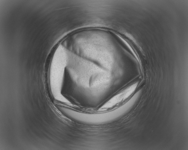 X0000082971460200702222353