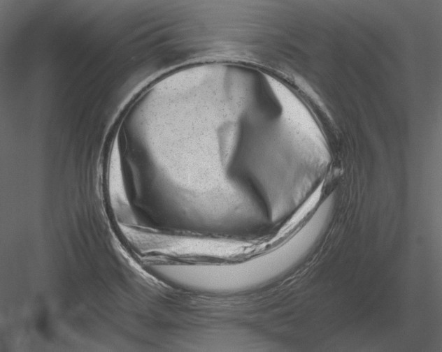 X0000082971468200702222353
