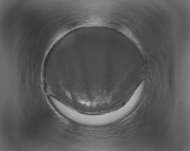 X0000082971469200702222353