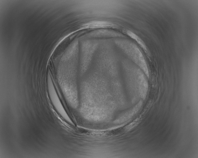 X0000082971473200702222353