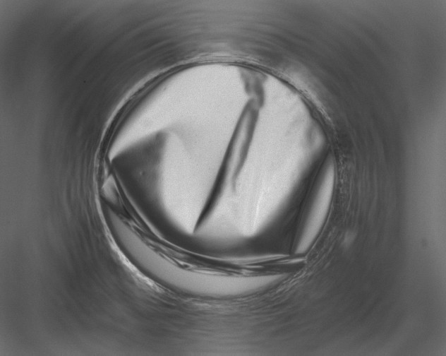 X0000082971476200702222353