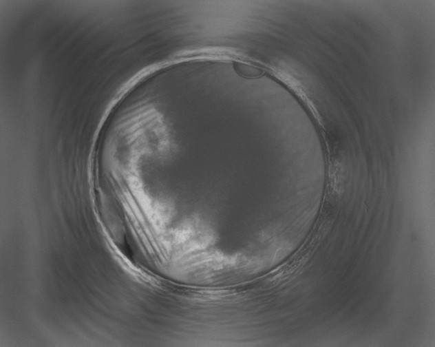 X0000082971482200702222353