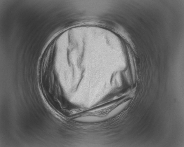 X0000082971483200702222353