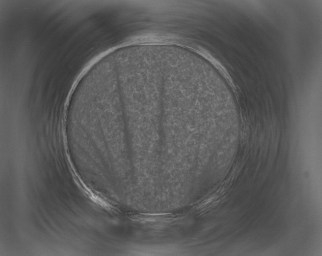 X0000082971486200702222353