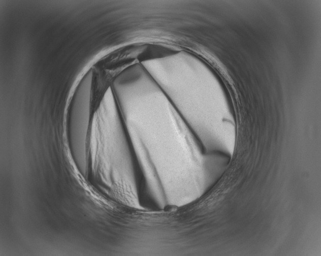 X0000082971488200702222353
