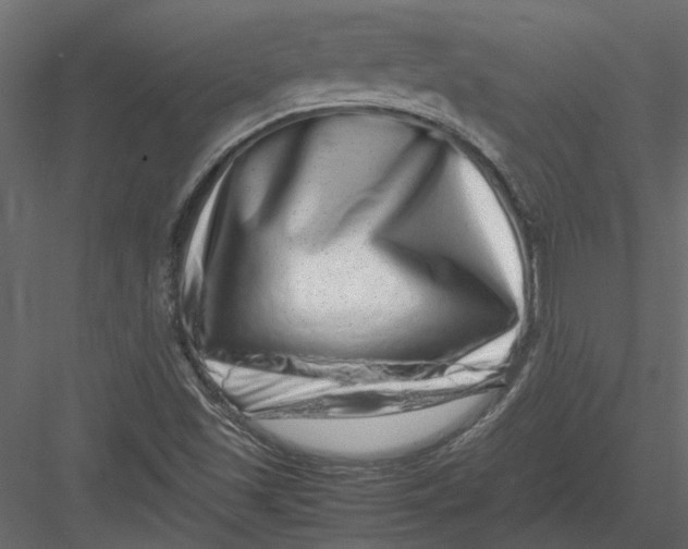 X0000082971501200702222352