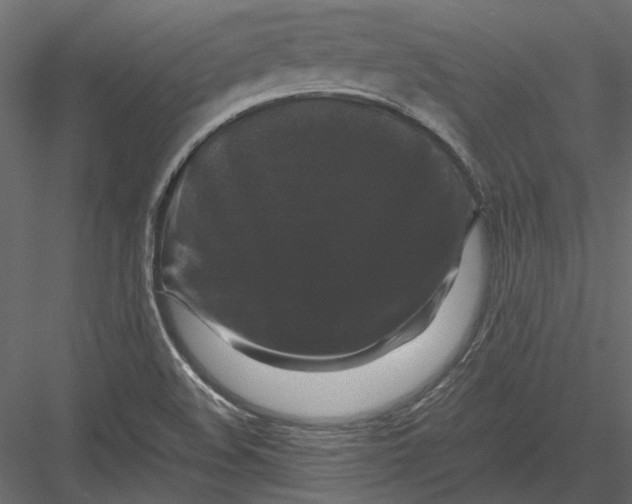 X0000082971508200702222352