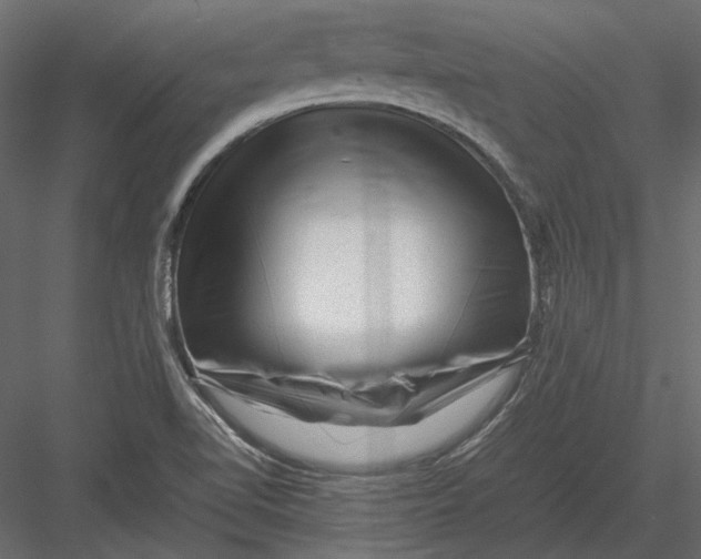 X0000082971510200702222353