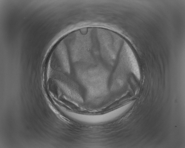 X0000082971511200702222353