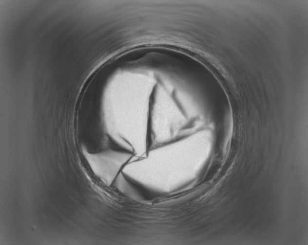 X0000082971513200702222353