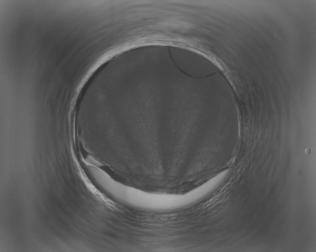 X0000082971515200702222353