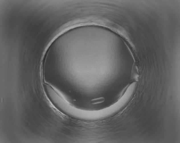 X0000082971516200702222353