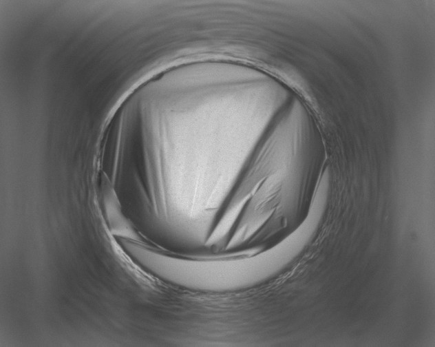 X0000082971524200702222353