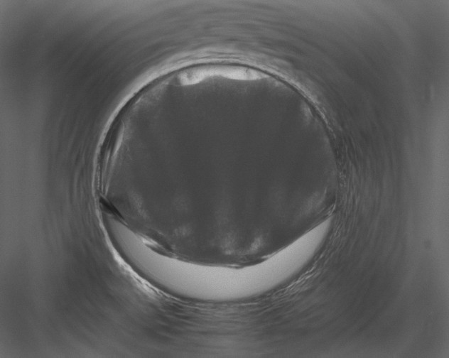 X0000082971527200702222353