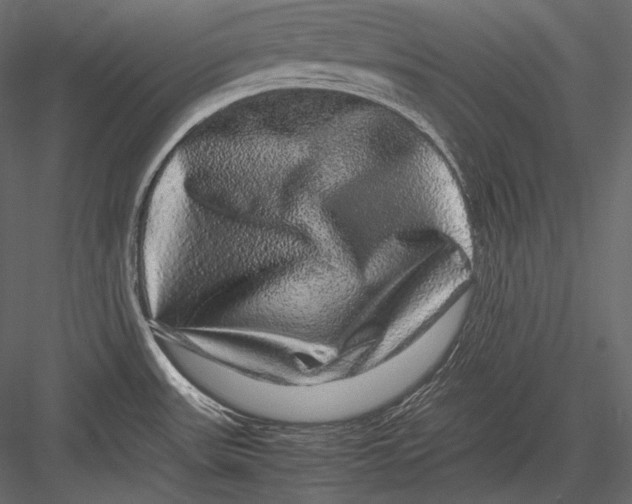 X0000082971531200702222353