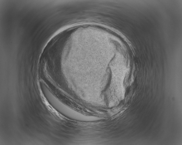 X0000082971534200702222353