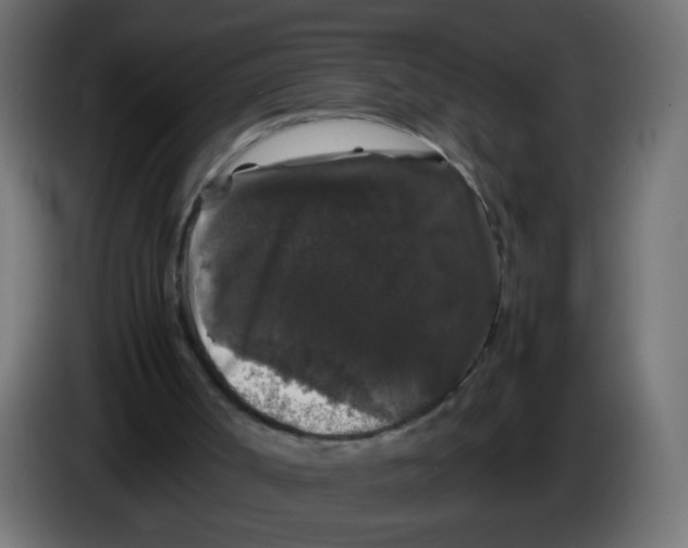X0000082970002200703020245