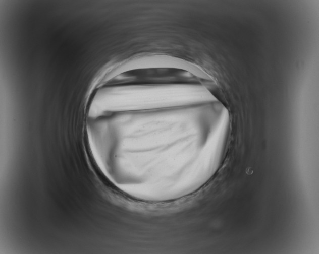 X0000082970003200703020245